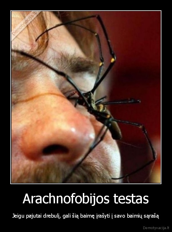 Arachnofobijos testas