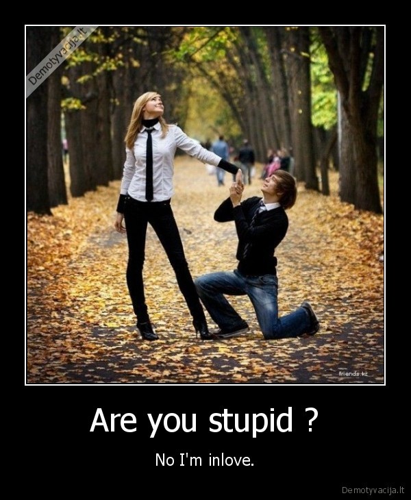 Are you stupid ?