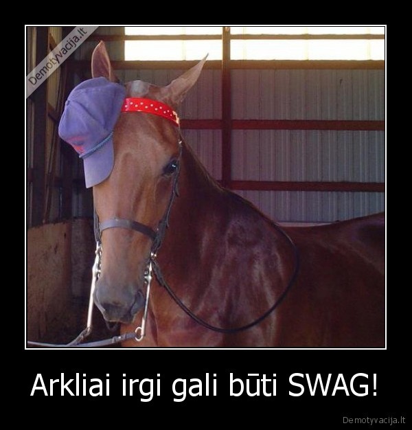 Arkliai irgi gali būti SWAG!