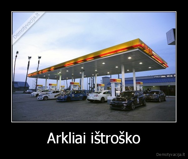 Arkliai ištroško