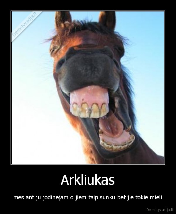 Arkliukas