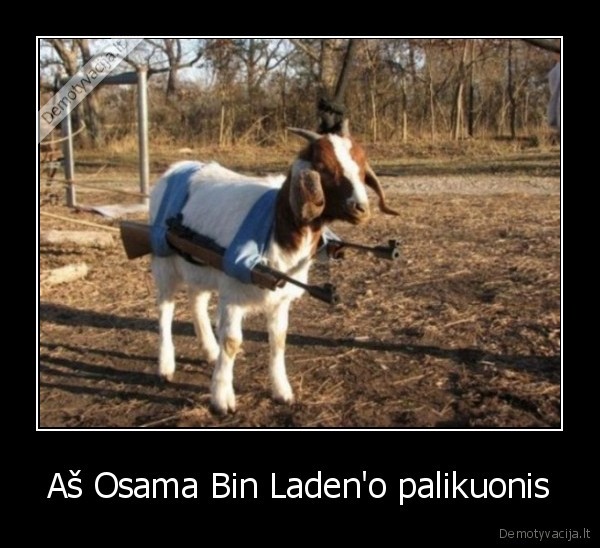 Aš Osama Bin Laden'o palikuonis