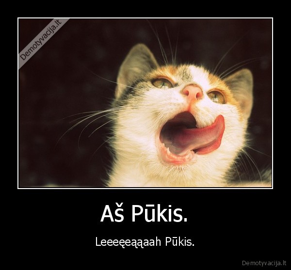 mr, pukis