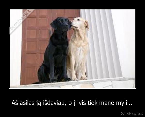 Aš asilas ją išdaviau, o ji vis tiek mane myli...