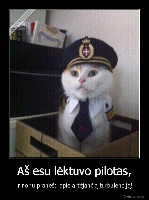 Aš esu lėktuvo pilotas,