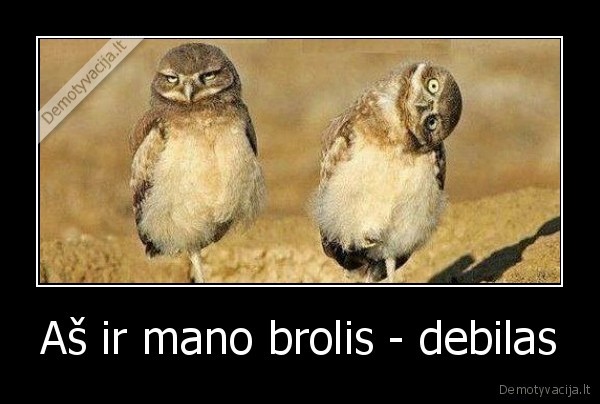 Aš ir mano brolis - debilas