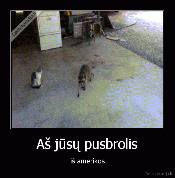 Aš jūsų pusbrolis