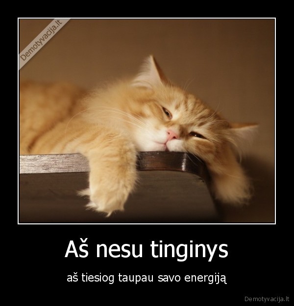 tinginys,energija