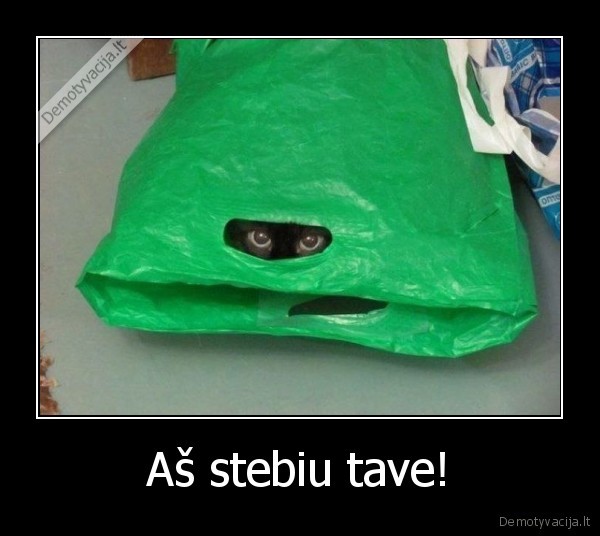 Aš stebiu tave!