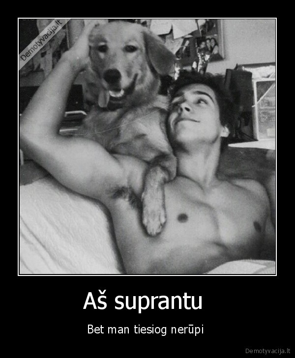 gyvenimas,nerupi, niekas,just, dog