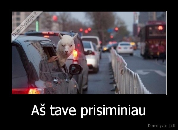 Aš tave prisiminiau