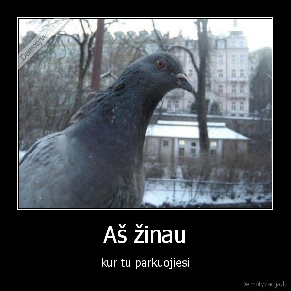 Aš žinau