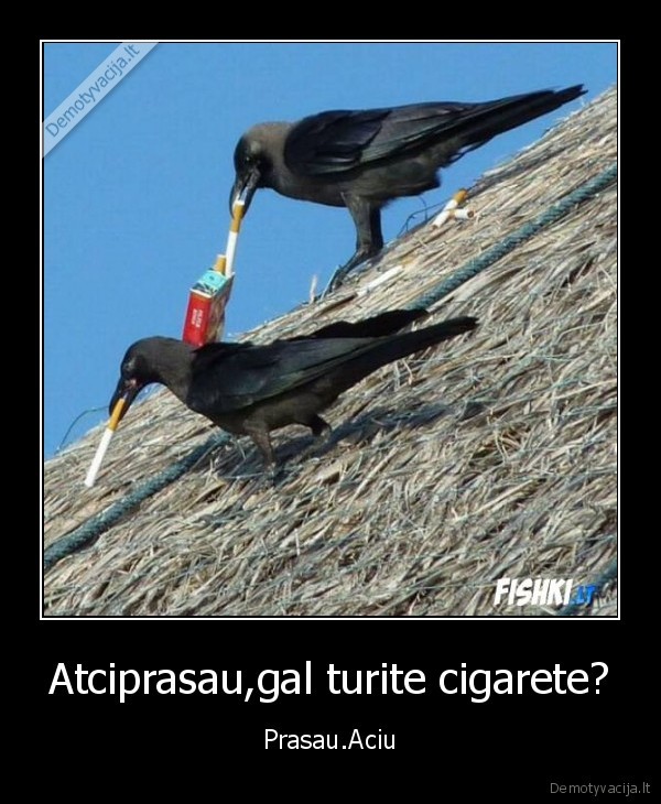 cigaretes