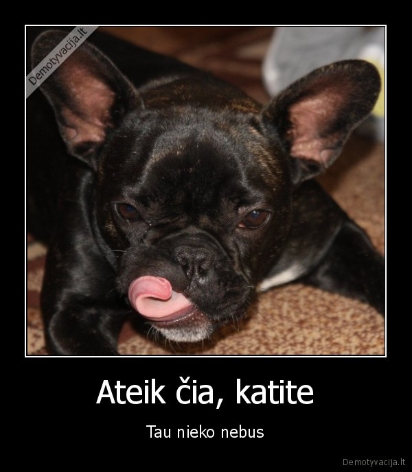 Ateik čia, katite