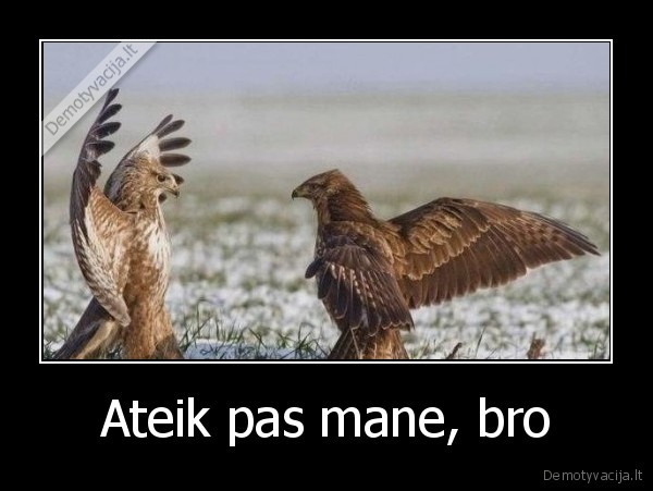 Ateik pas mane, bro