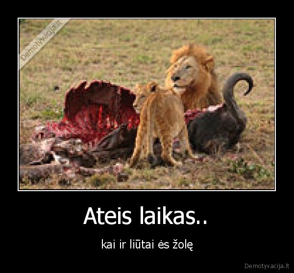 Ateis laikas..