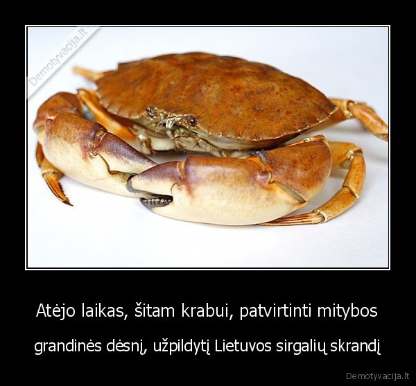 Atėjo laikas, šitam krabui, patvirtinti mitybos