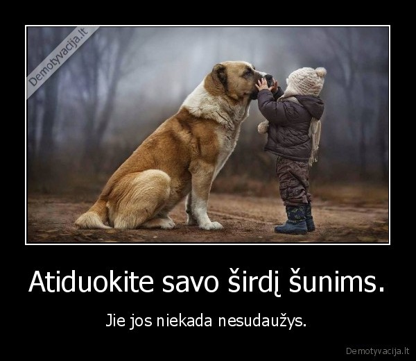 suo,sunys,meile,sirdis