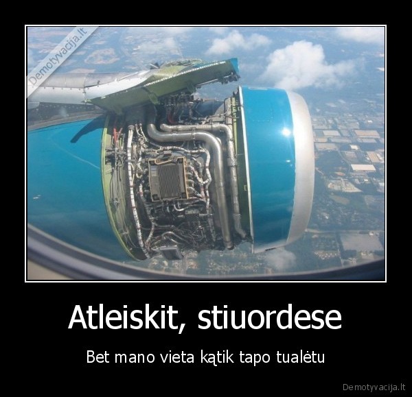 Atleiskit, stiuordese