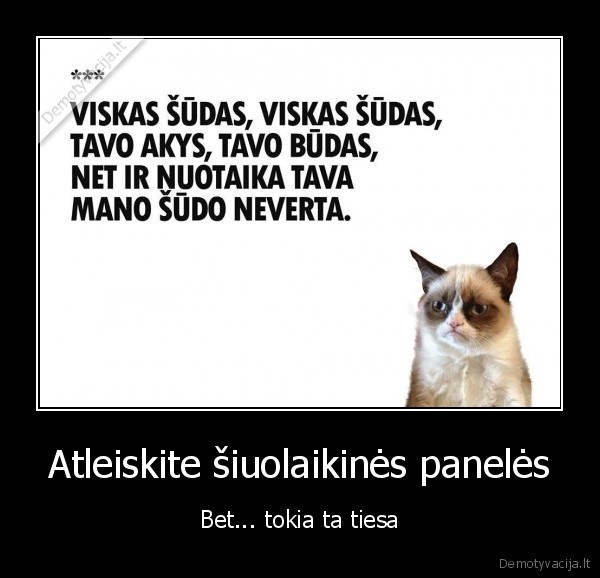 Atleiskite šiuolaikinės panelės