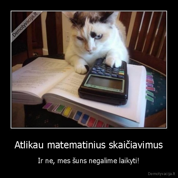 Atlikau matematinius skaičiavimus