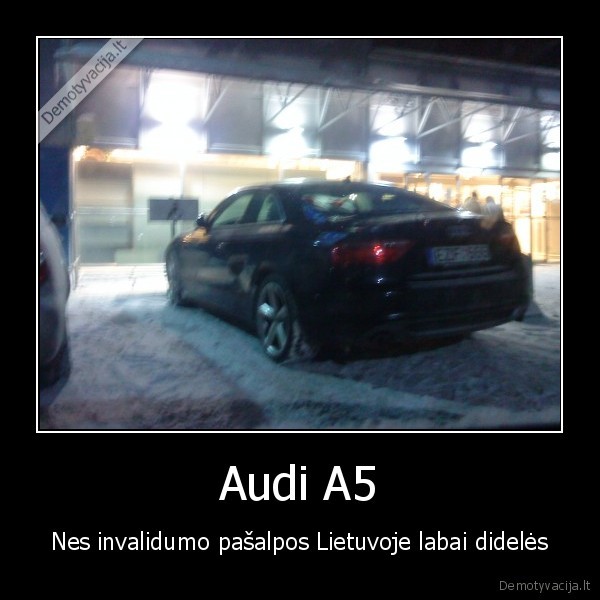 invalidas,zenklas,audi