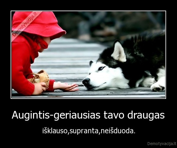 Augintis-geriausias tavo draugas