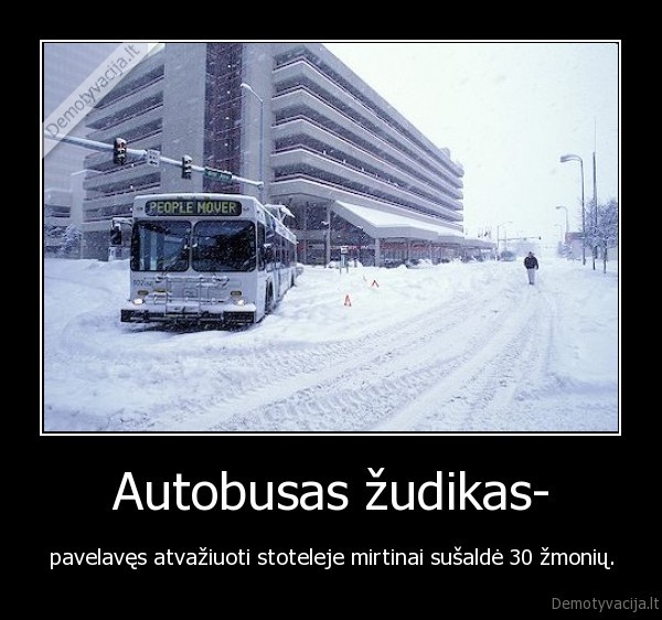 autobusas, zudikas