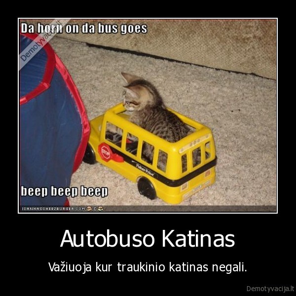 Autobuso Katinas