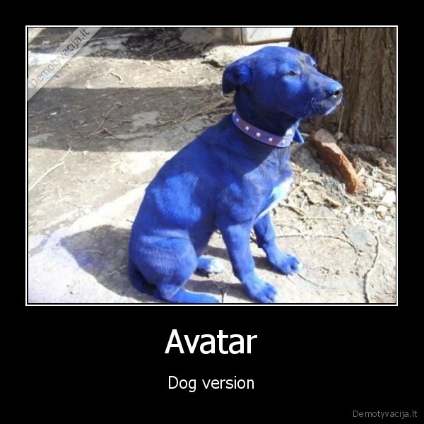 Avatar