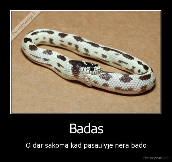 Badas