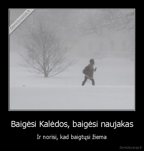 kaledos,naujakas,ziema