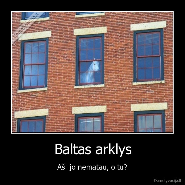 Baltas arklys