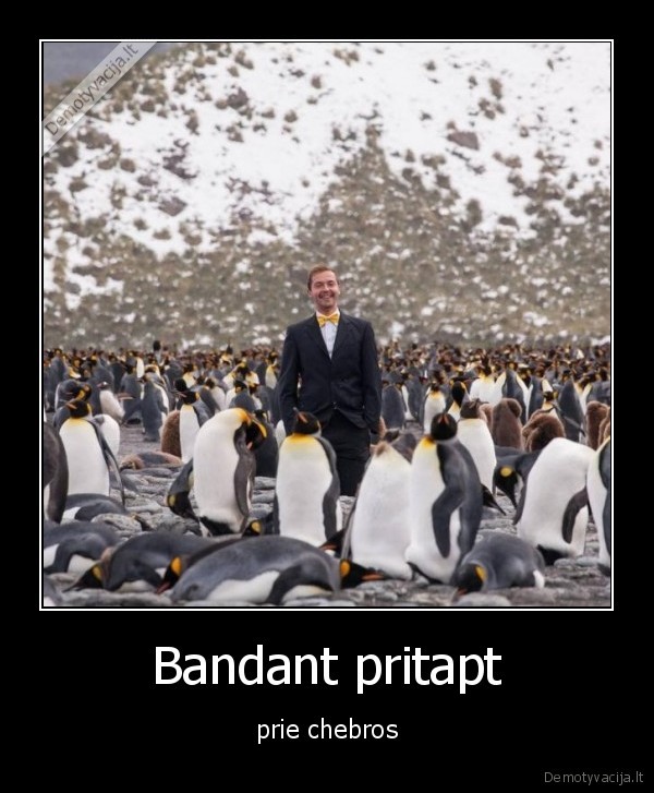 Bandant pritapt