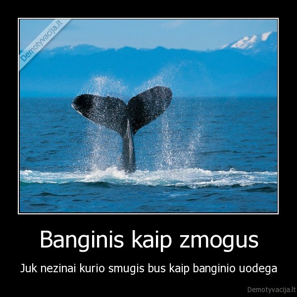 Banginis kaip zmogus