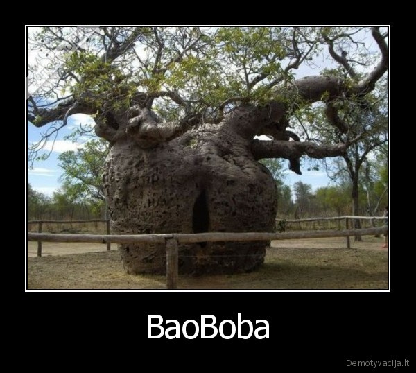 BaoBoba