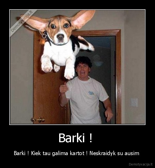 Barki ! 