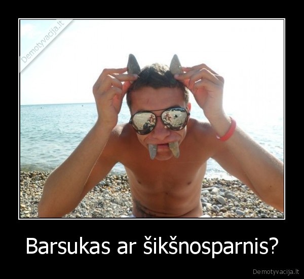 Barsukas ar šikšnosparnis?