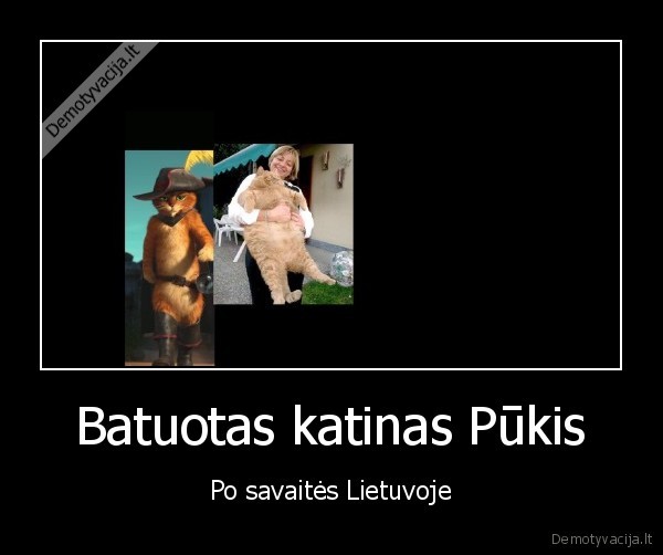 Batuotas katinas Pūkis