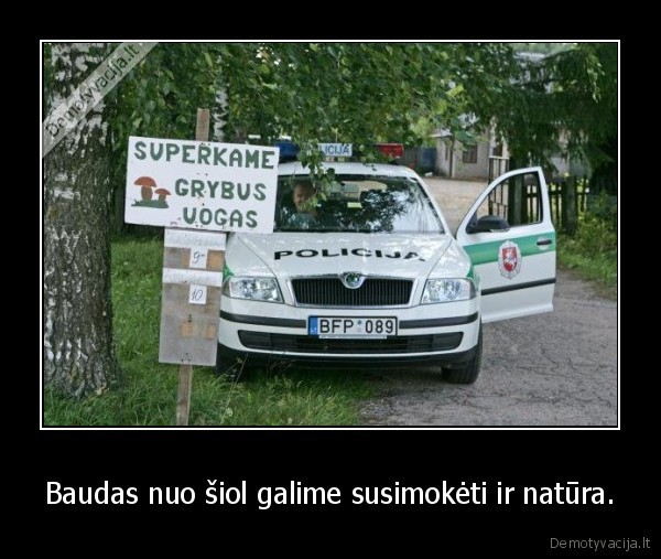 Baudas nuo šiol galime susimokėti ir natūra.