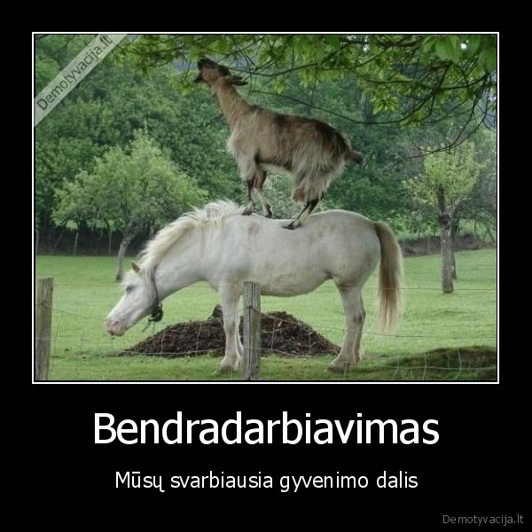 Bendradarbiavimas