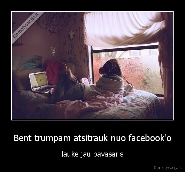 fb, aukos