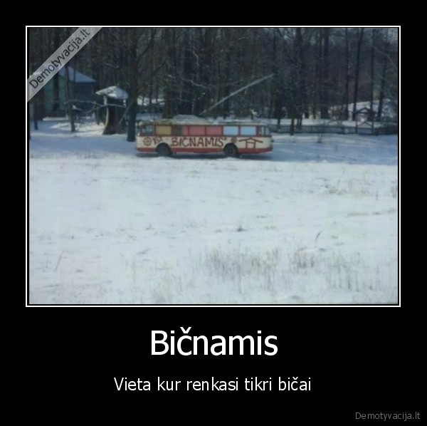 bicnamis, nes, panunamis, neegzistuoja