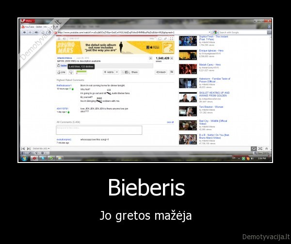 bieberis, lopas, 