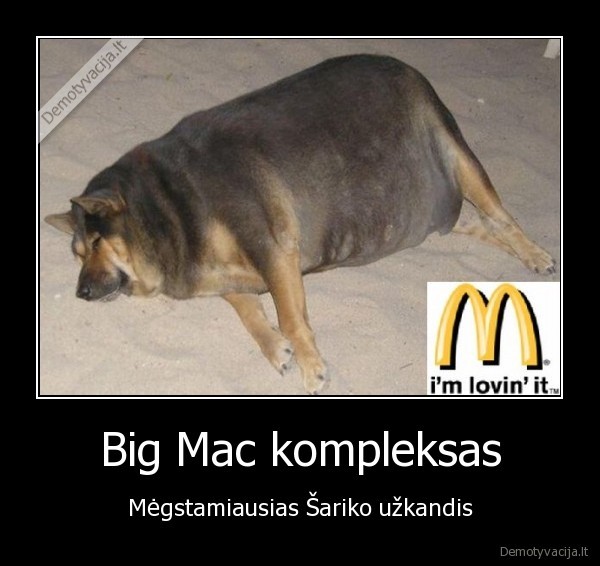 big, mac, mcdonalds, sarikas, suo, storas