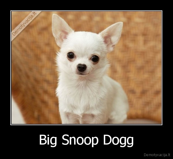 Big Snoop Dogg
