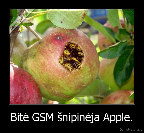 Bitė GSM šnipinėja Apple.