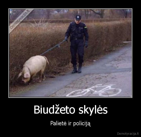 Biudžeto skylės