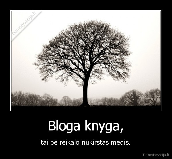 Bloga knyga,