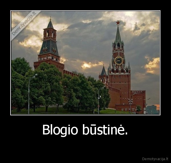 blogis,bustine,irstva,ozys